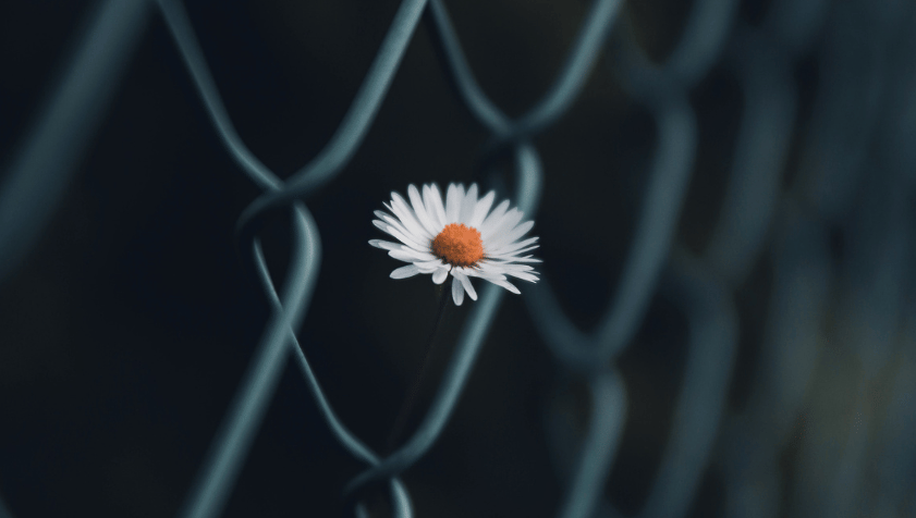 7 Cara Menghadapi Gejolak Rumah Tangga di Tahun Pertama Pernikahan